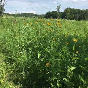 Meet your Posher, Jaclyn